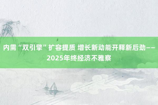 内需“双引擎”扩容提质 增长新动能开释新后劲——2025年终经济不雅察